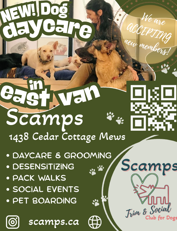 New Dog Daycare in East Van